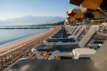 A pristine row of sun loungers ready in the morning for a day on the beach