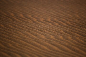 Textura Areia Praia Bege Grãos Suavidade Ondas Padrão Natural Detalhe Microscópico Superfície Tato Quente Fino Uniforme Deserto Erosão Marrom