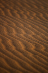 Textura Areia Praia Bege Grãos Suavidade Ondas Padrão Natural Detalhe Microscópico Superfície Tato Quente Fino Uniforme Deserto Erosão Marrom