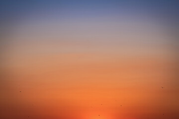Colorful cloudless sky at sunset.