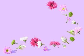 Vibrant summer sunlit flowers  against a bold purple background. Perfect for designs, social media, marketing projects and other purposes. Spring concept with large copy space.