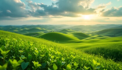 Fototapeta premium Rolling Hills at Sunset: Capture the serenity of rolling hills under a vibrant sunset, casting a warm glow over the landscape. Lush green fields and vibrant sky evoke feelings of peace. 