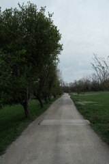 Unpaved countryside road lined with trees and green pastures in springtime, taken in rural Serbia. Peaceful outdoor scene with soft light and natural symmetry, perfect for travel or nature themes.
