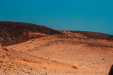 Animais-Silvestres Vegetação Parque-Nacional-De-Jericoacoara Urubu Burro Dunas Restinga Manguezal Apicum Natureza Vida-Selvagem Paisagem Céu-Aberto Ecossistema Aves Répteis Mamíferos Flora Fauna Conse