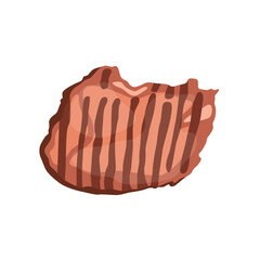 Vector illustration of grilled meat in cartoon flat style. Cartoon fried steak with grill marks. Chicken, pork, beef, burger patty. Raw, cooked and roasted meat vector set. Food meal for bbq