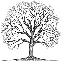 Obraz premium Leafless tree illustration with intricate branches in black and white design. Vector illustration