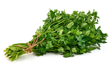Fresh parsley bunch tied with twine, isolated on white background.
