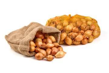 Fresh shallots isolated on white background .