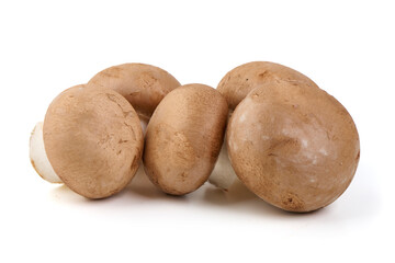 Fresh cremini mushrooms, isolated on white background.