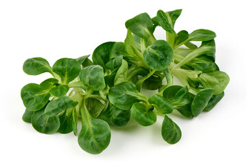 Fresh Corn Salad (Lamb's Lettuce), Isolated on White Background.