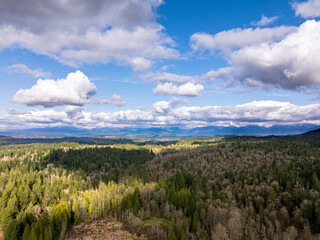 Issaquah WA USA - March 29th 2025: Serene Skies: A Cloudscape Beneath the Sunny Day