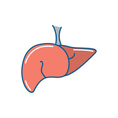 Lungs icon vector image with white background