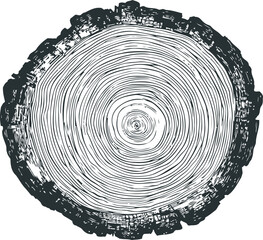 Fototapeta premium Tree stump slice illustration with detailed growth