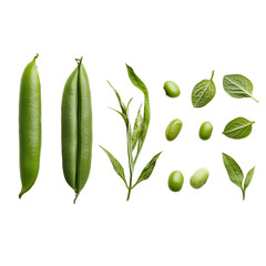 Obraz premium Green beans, cut out, isolated on transparent background