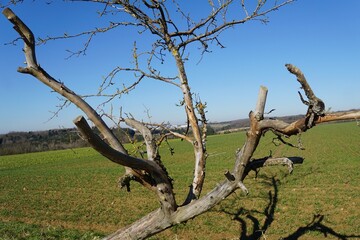 Biosph&auml;re Bliegau 
