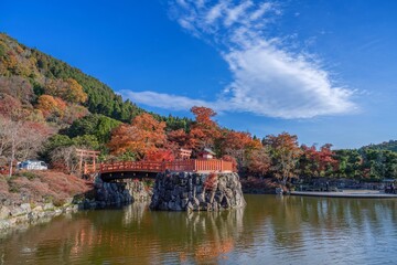Fototapeta premium 青空バックに見るちょうど見ごろの紅葉に囲まれたお寺の境内の情景
