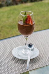 An adventure of polo, good food, fresh air and fun