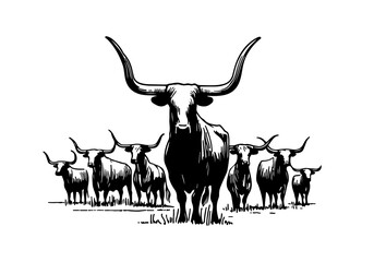 Texas Longhorn cattle hand drawn vector illustration