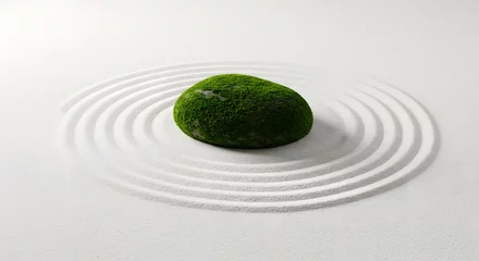  modern zen garden 