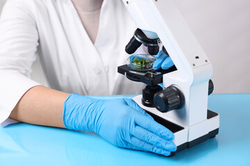 Biochemistry. Scientist looking at plants with microscope in laboratory, closeup