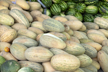 Honeydew melon or Hami melon in the market of Siyob bazaar in Samarkand, Uzbekistan