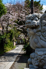 Obraz premium 鎌倉503 五所神社2