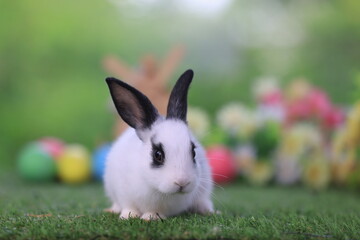 Lovely bunny easter fluffy rabbit eating green grass with a basket full of colorful flowers and easter eggs on green garden nature background on warming spring day. Symbol of easter day festival.
