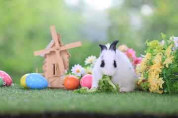 Lovely bunny easter fluffy rabbit eating green grass with a basket full of colorful flowers and easter eggs on green garden nature background on warming spring day. Symbol of easter day festival.