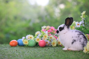 Lovely bunny easter fluffy rabbit eating green grass with a basket full of colorful flowers and easter eggs on green garden nature background on warming spring day. Symbol of easter day festival.
