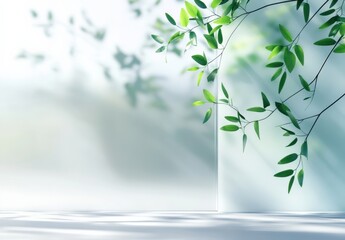 Fresh Green Leaves in Soft Sunlight