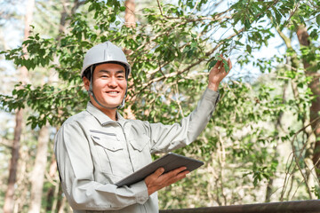 公園・森林で樹木をチェックする作業着姿の林業の男性
