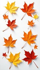 Obraz premium Delicate maple leaves scattered on white surface, isolated, texture, details
