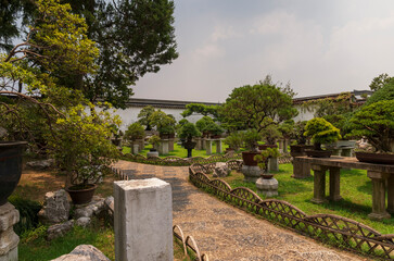 stone path in the garden