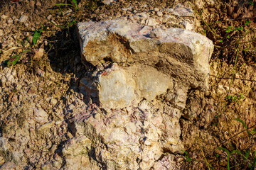 Outcrop of marbled limestone rocks on a slope, Lower Carboniferous. Kaluga region, Russia