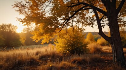 Fototapeta premium Autumn's Golden Glow: Blurred Sunset Landscape