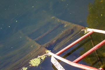A ladder for swimming in a river overgrown with green slimy mud