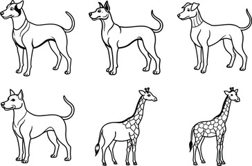 Elegant Line Art Collection of Various Animals