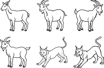 Elegant Line Art Collection of Various Animals
