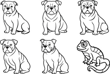 Obraz premium Elegant Line Art Collection of Various Animals