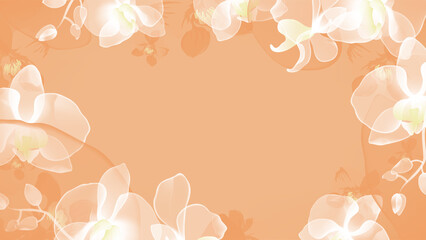 Floral abstract background, translucent pink Phalaenopsis orchid in shades of white and orange on a peachy-orange background, creating a frame-like effect with a blank space in the center