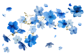 Falling Blue Petals on transparent background