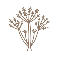 Minimalist Fennel Flower Illustration, Herbal Design