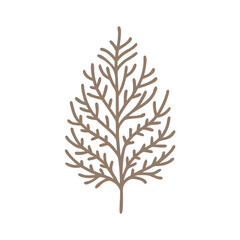 Cypress Tree Minimalist Vector Illustration