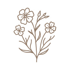 Flax Flower Line Art Illustration, Linum Usitatissimum