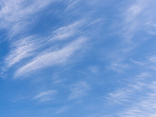 Fototapeta premium 春の空 青空と巻雲を見上げる13