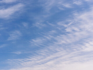 春の空　青空と巻雲を見上げる14