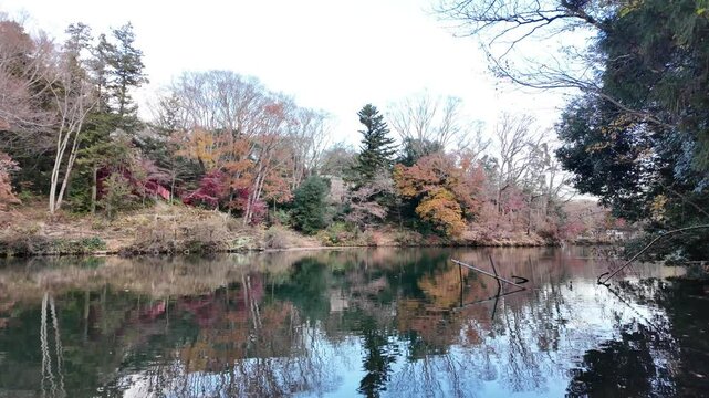 ゆったりとした時が流れる湖 | 秦野 | 震生湖