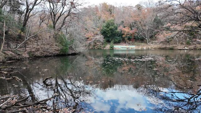 ゆったりとした時が流れる湖 | 秦野 | 震生湖