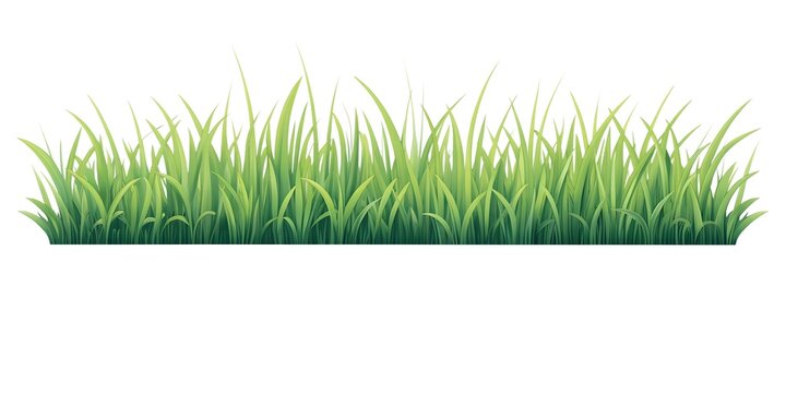 background, isolated, copy space, abstract, nature, landscape, travel, adventure, sky, clouds, water, ocean, sea, beach, mountain, forest, tree, grass, flower, plant, wildlife, animal, people, lifesty