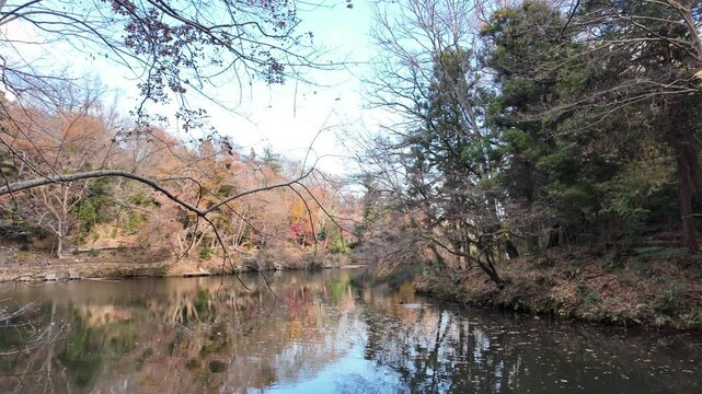 ゆったりとした時が流れる湖 | 秦野 | 震生湖
